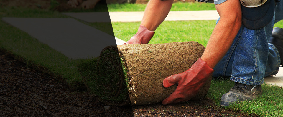 Saint Helens Landscapers